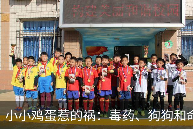 小小鸡蛋惹的祸：毒药、狗狗和命悬一线的男孩