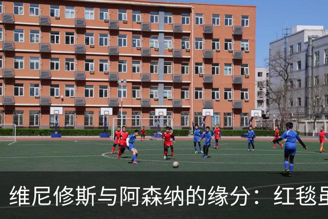 维尼修斯与阿森纳的缘分：红毯虽美，心归白衣
